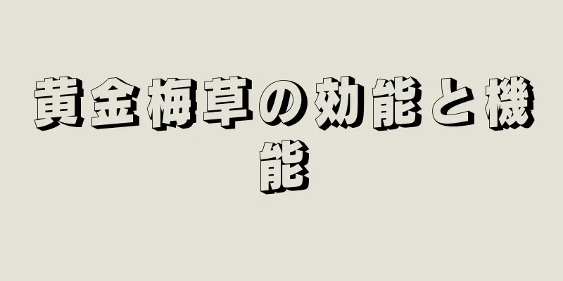 黄金梅草の効能と機能