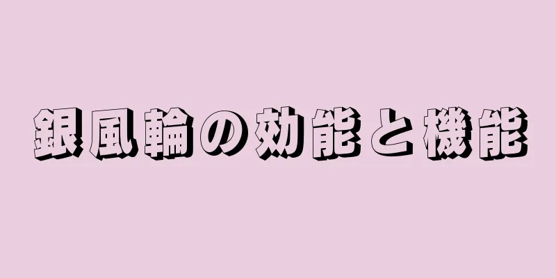銀風輪の効能と機能