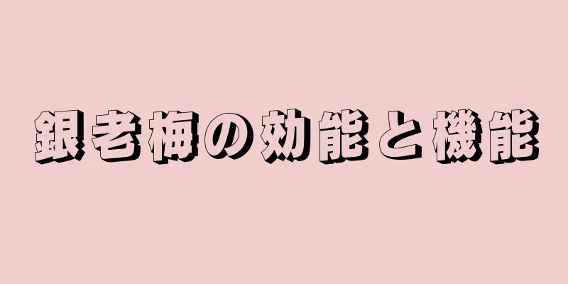 銀老梅の効能と機能