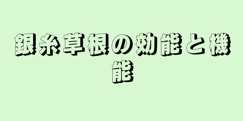 銀糸草根の効能と機能