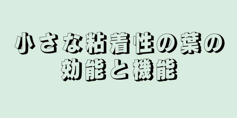 小さな粘着性の葉の効能と機能