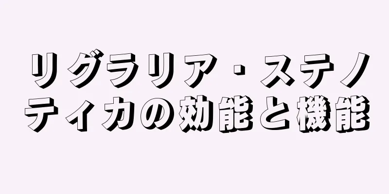 リグラリア・ステノティカの効能と機能