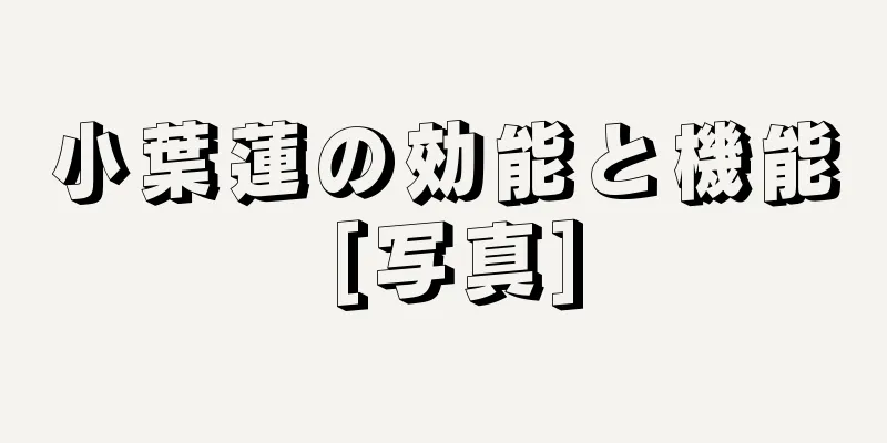 小葉蓮の効能と機能 [写真]