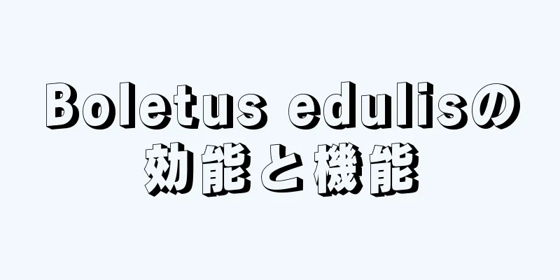 Boletus edulisの効能と機能