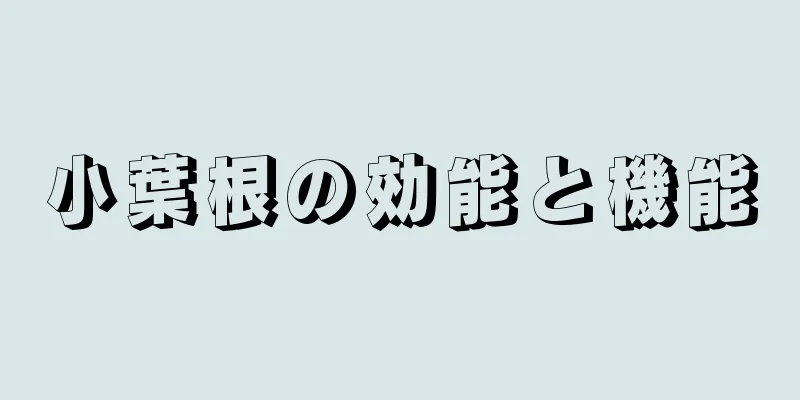 小葉根の効能と機能