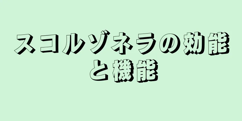 スコルゾネラの効能と機能