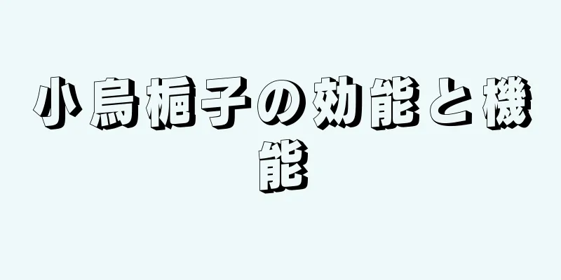 小烏梔子の効能と機能