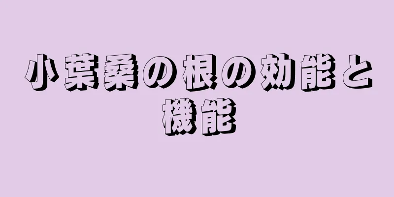 小葉桑の根の効能と機能