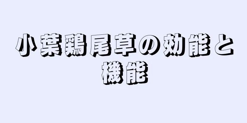 小葉鶏尾草の効能と機能
