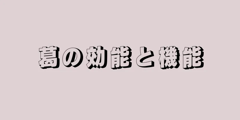 葛の効能と機能