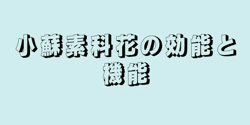 小蘇素科花の効能と機能