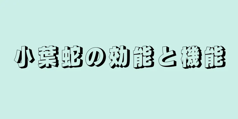 小葉蛇の効能と機能