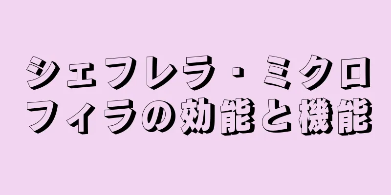 シェフレラ・ミクロフィラの効能と機能