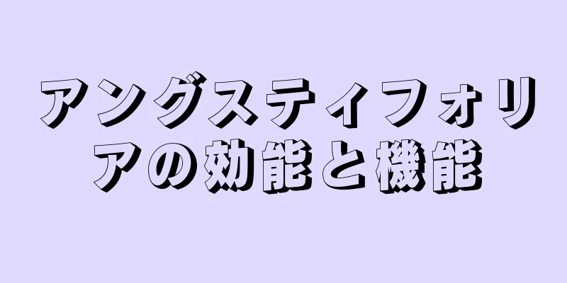 アングスティフォリアの効能と機能