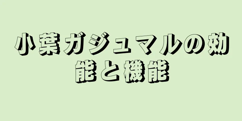 小葉ガジュマルの効能と機能
