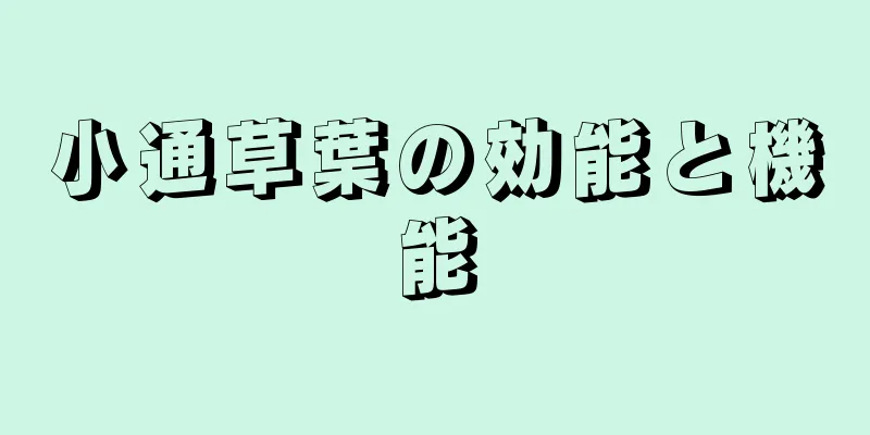 小通草葉の効能と機能