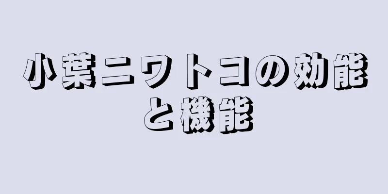 小葉ニワトコの効能と機能