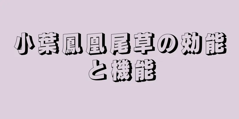 小葉鳳凰尾草の効能と機能