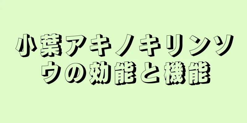 小葉アキノキリンソウの効能と機能