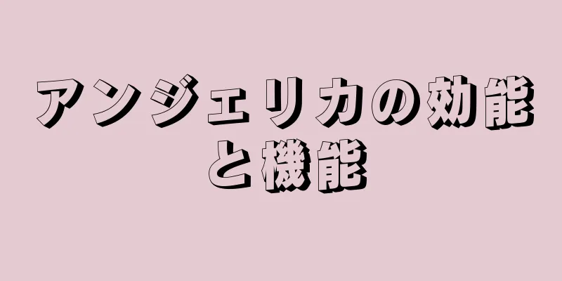 アンジェリカの効能と機能