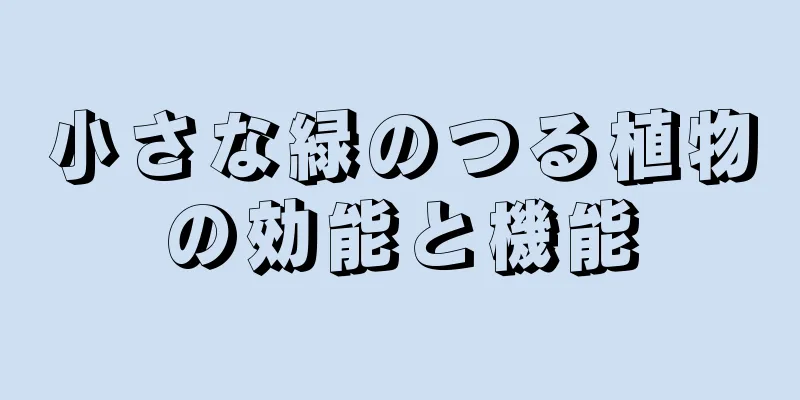 小さな緑のつる植物の効能と機能