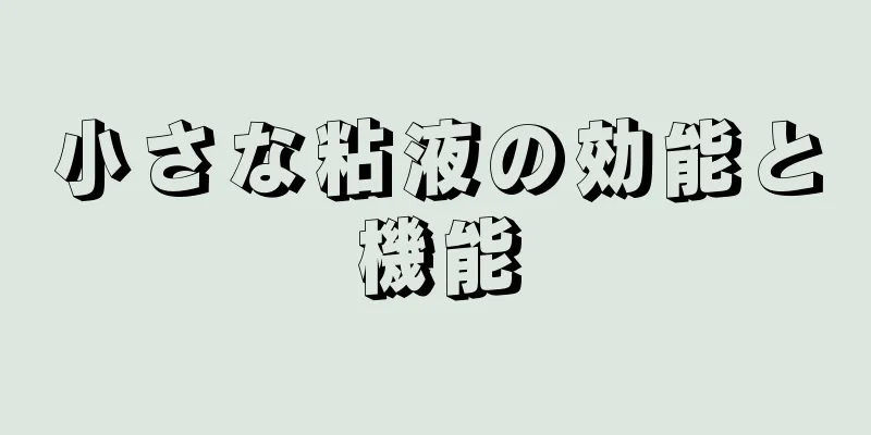 小さな粘液の効能と機能