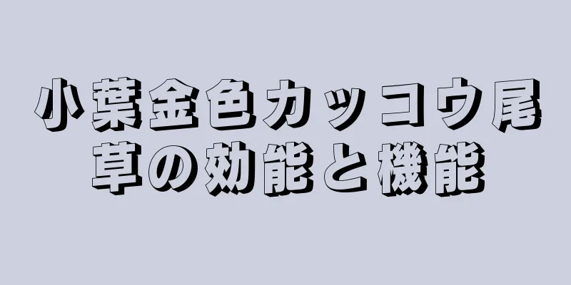 小葉金色カッコウ尾草の効能と機能