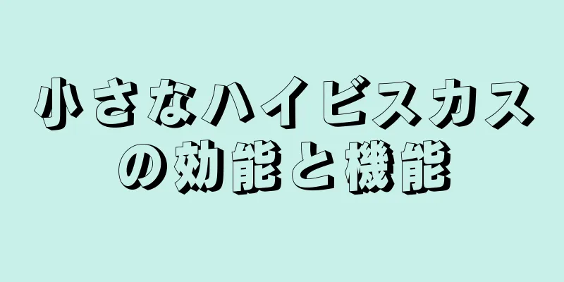 小さなハイビスカスの効能と機能