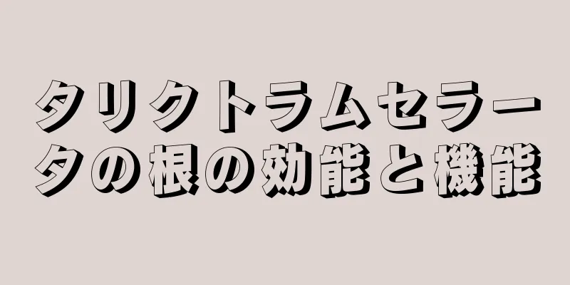 タリクトラムセラータの根の効能と機能