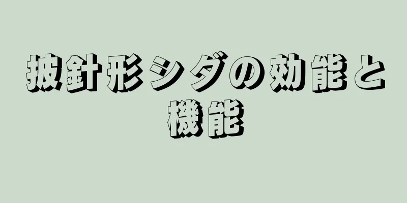 披針形シダの効能と機能