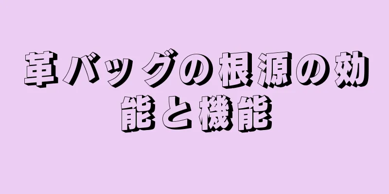 革バッグの根源の効能と機能