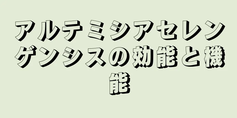 アルテミシアセレンゲンシスの効能と機能