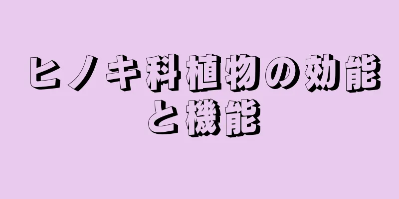 ヒノキ科植物の効能と機能