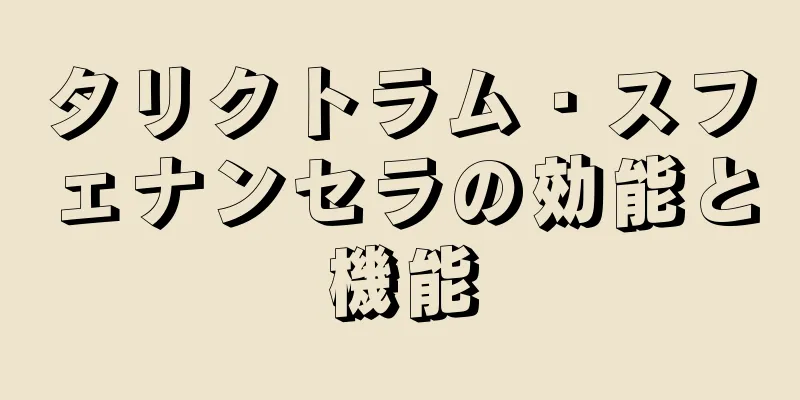 タリクトラム・スフェナンセラの効能と機能