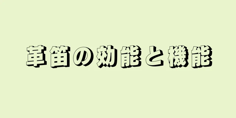 革笛の効能と機能