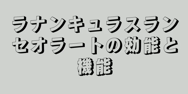 ラナンキュラスランセオラートの効能と機能