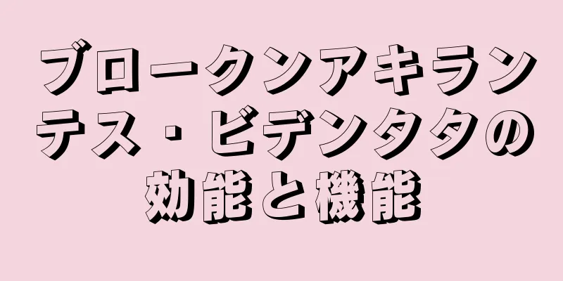 ブロークンアキランテス・ビデンタタの効能と機能