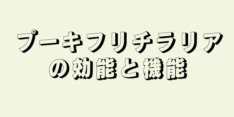 プーキフリチラリアの効能と機能