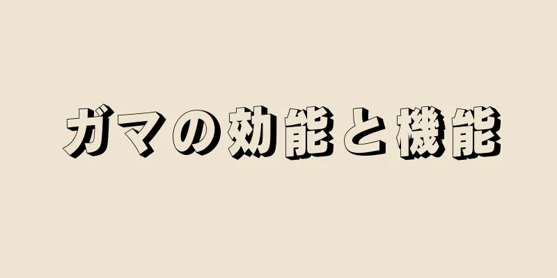 ガマの効能と機能