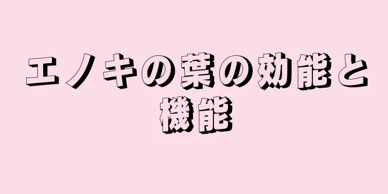 エノキの葉の効能と機能