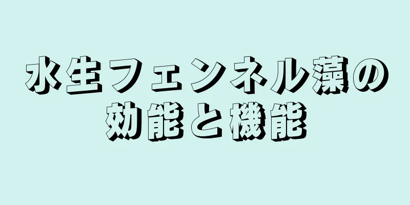 水生フェンネル藻の効能と機能