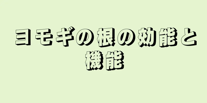 ヨモギの根の効能と機能