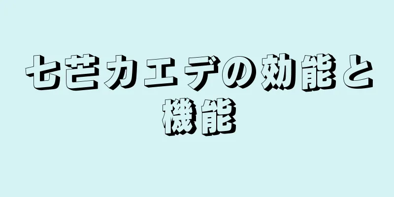 七芒カエデの効能と機能