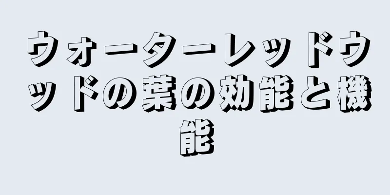 ウォーターレッドウッドの葉の効能と機能