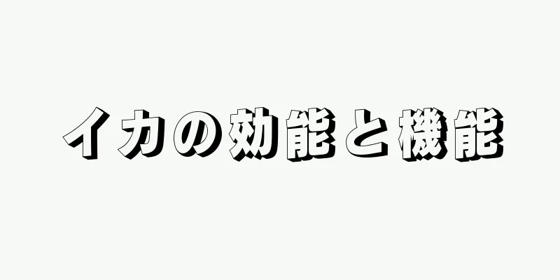 イカの効能と機能