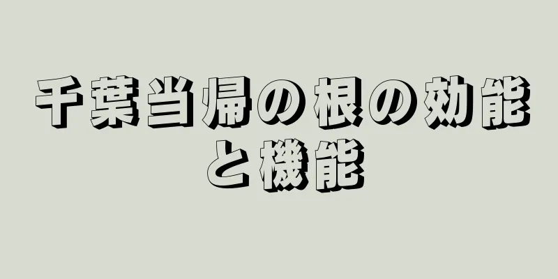 千葉当帰の根の効能と機能
