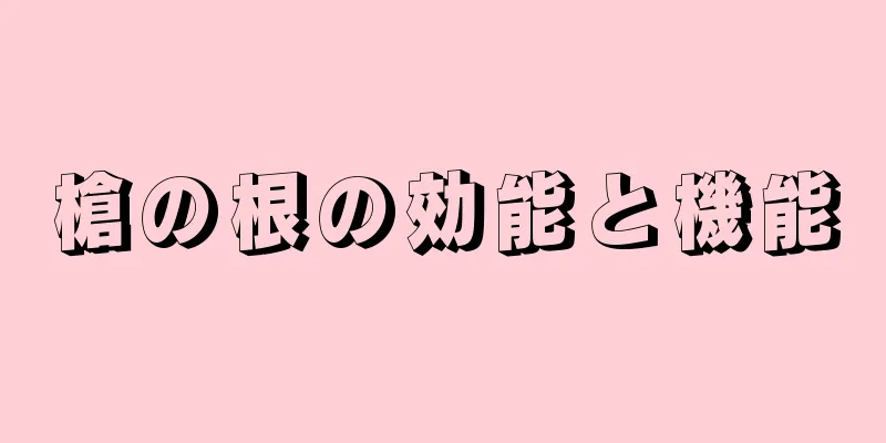 槍の根の効能と機能