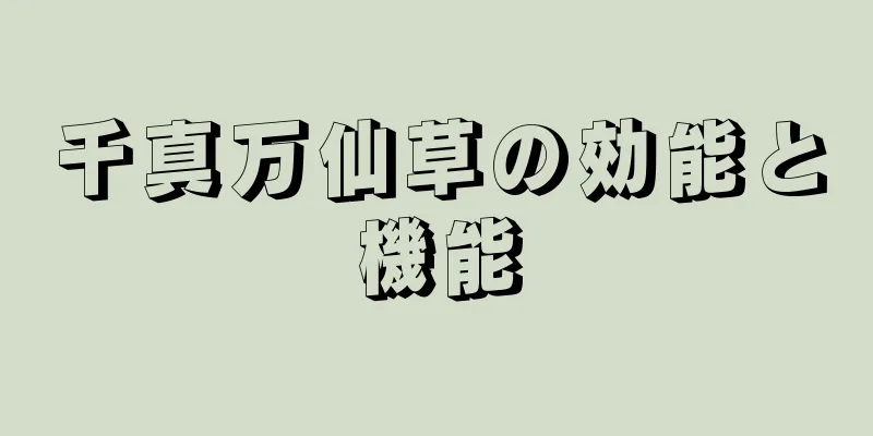 千真万仙草の効能と機能
