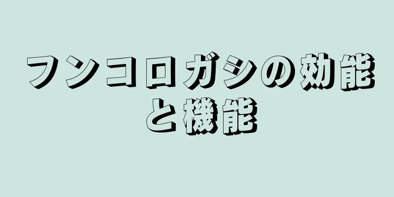 フンコロガシの効能と機能