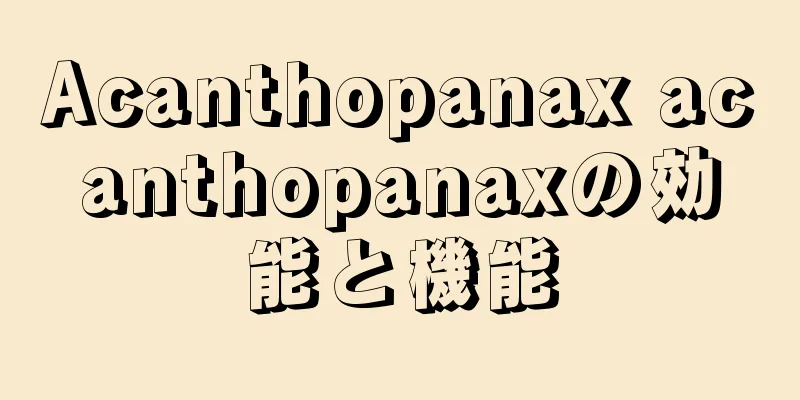 Acanthopanax acanthopanaxの効能と機能